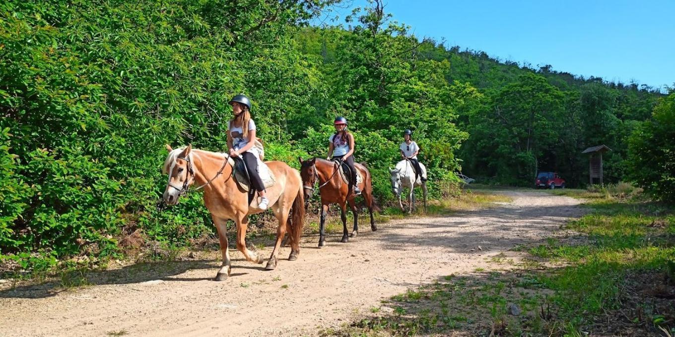 Agriturismo Poggio Al Tesoro Crespina المظهر الخارجي الصورة