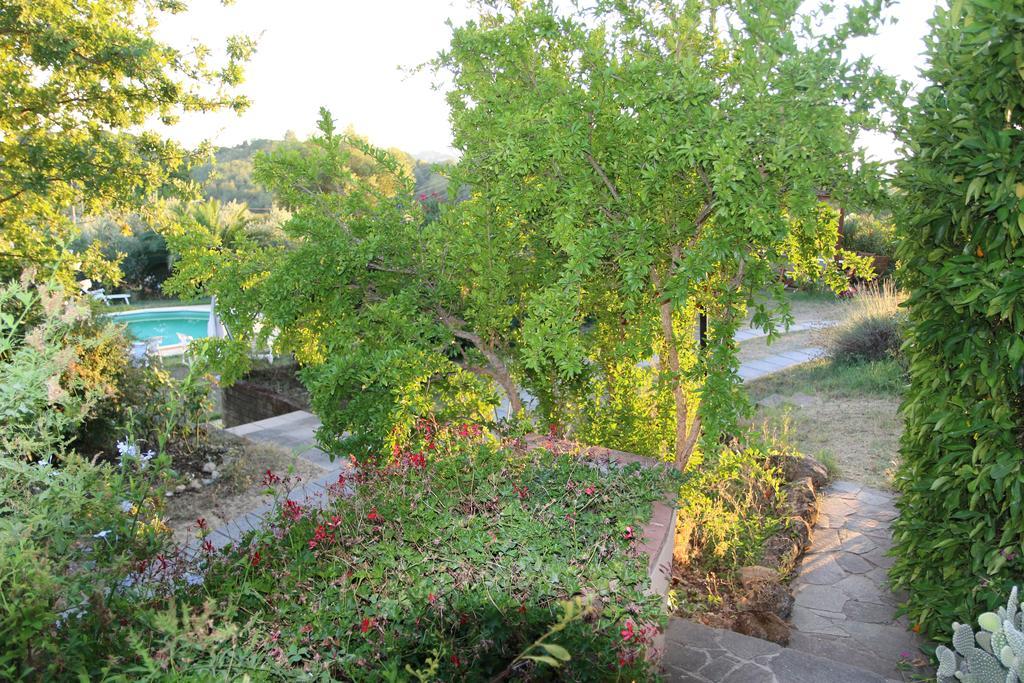 Agriturismo Poggio Al Tesoro Crespina المظهر الخارجي الصورة