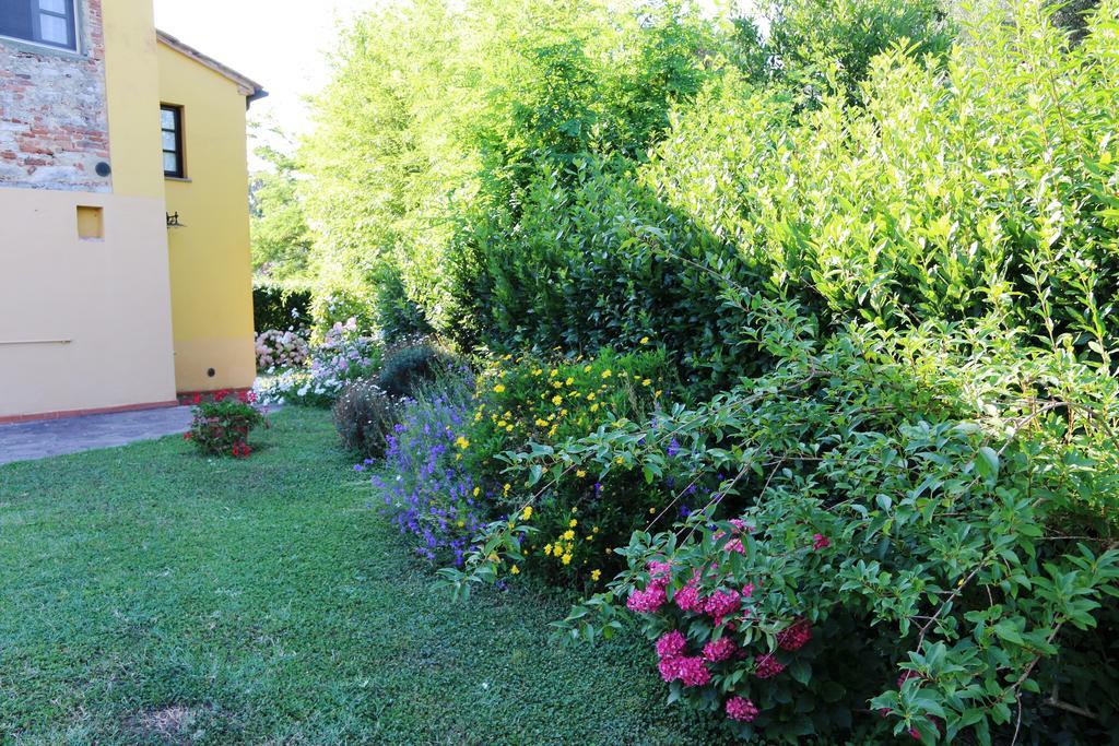 Agriturismo Poggio Al Tesoro Crespina المظهر الخارجي الصورة